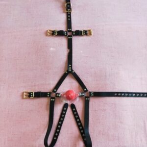 Enhance The Harness Type Mouth Plug Erotic Gag Mouth Ball